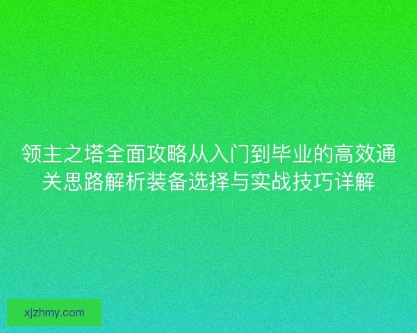 领主之塔全面攻略从入门到毕业的高效通关思路解析装备选择与实战技巧详解